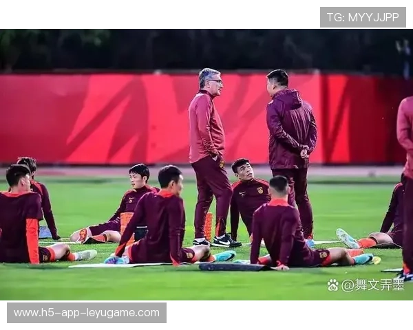 国家队集训引入对抗赛 实战演练效果显著，国家队集训大名单